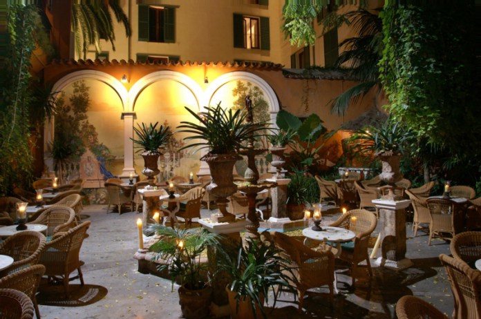 abaco palma bar