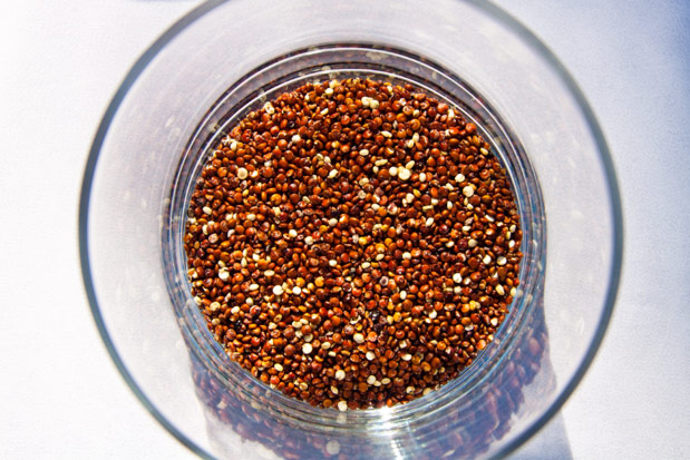 vilken quinoa är nyttigast vilken quinoa är nyttigast